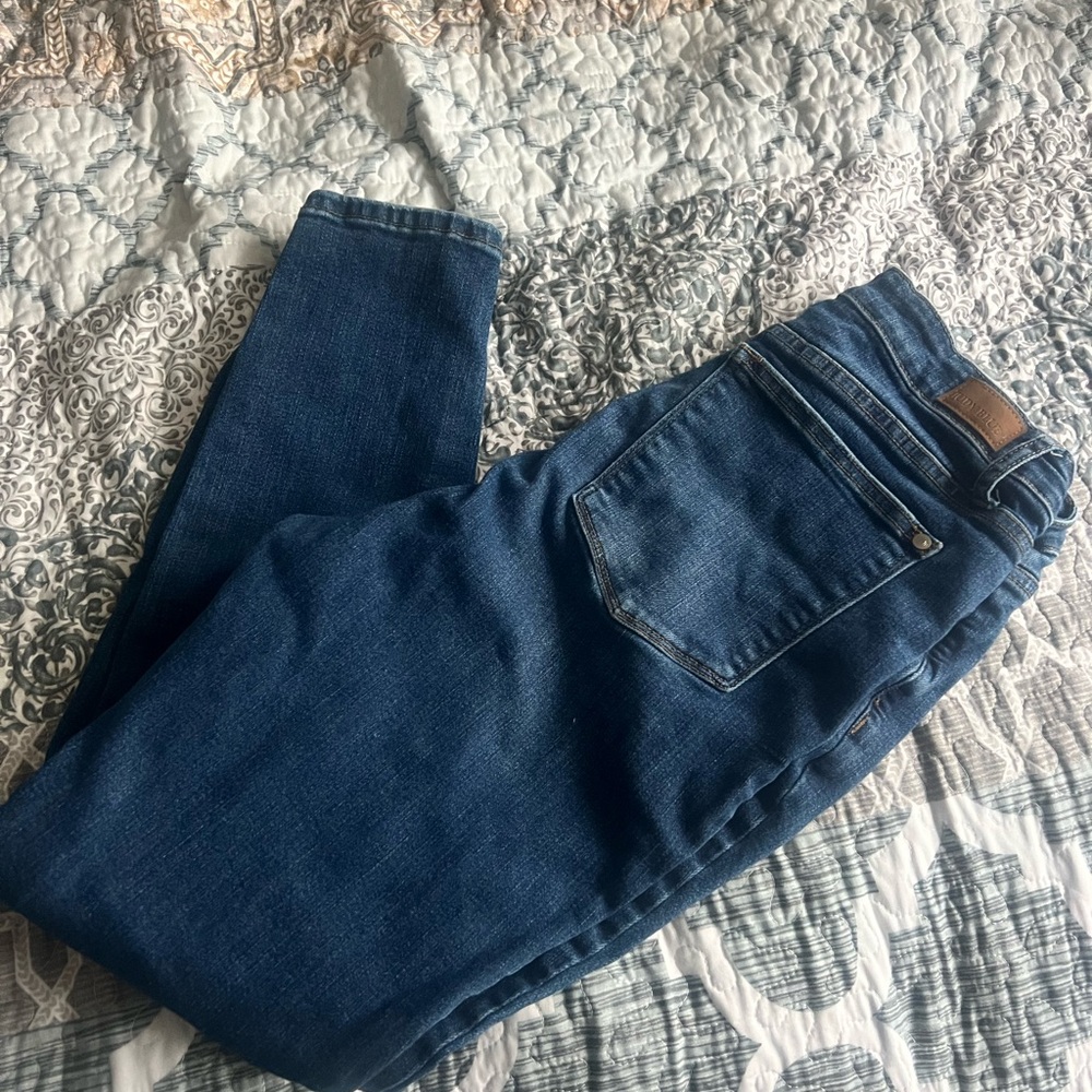Judy Blue Skinny Jeans 15/32
